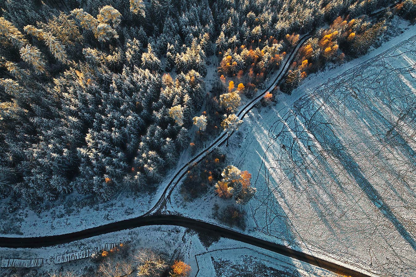 Spuren im Schnee (Foto: Jens Gutberlet)