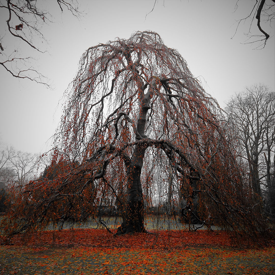 Kein Fotoclub