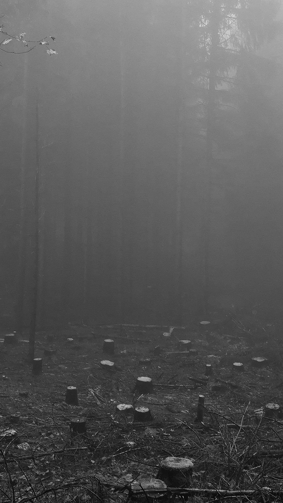 Fotoclub