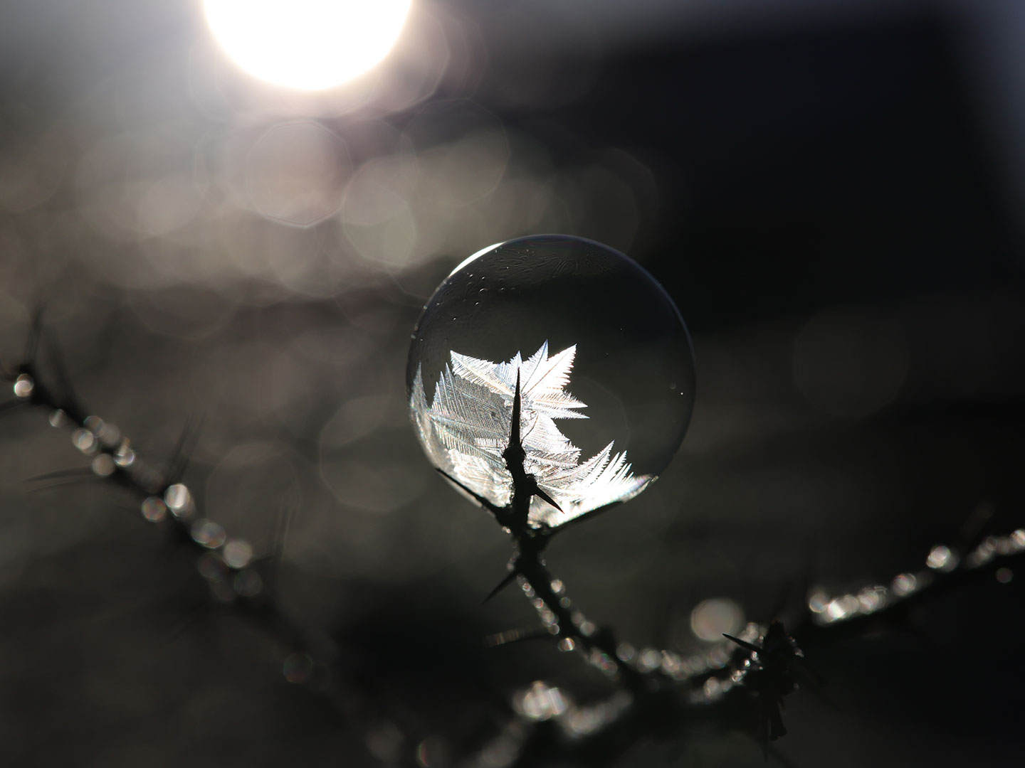 Von der Spitze an (Foto: Kerstin Wolff)