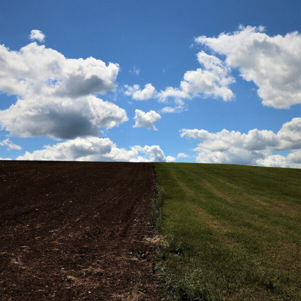 Vorher Nachher (Foto: Michael Stürtz)