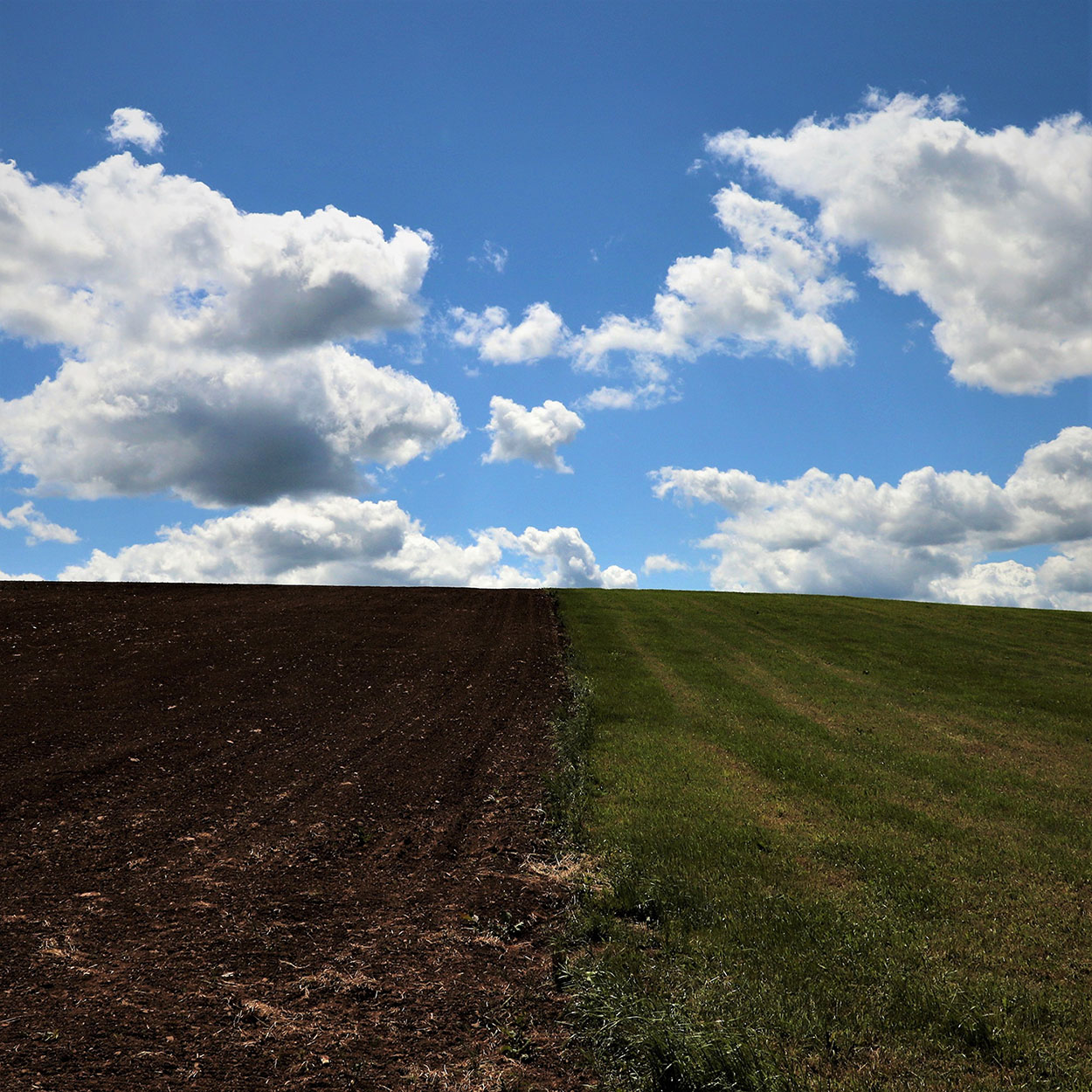 Vorher Nachher (Foto: Michael Stürtz)