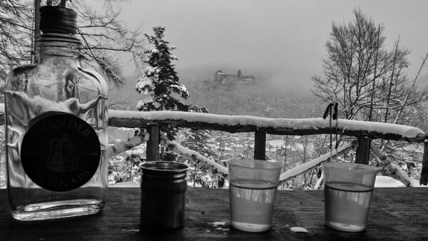 Winterwanderung (Foto: Peter Maximilian Schmidt)