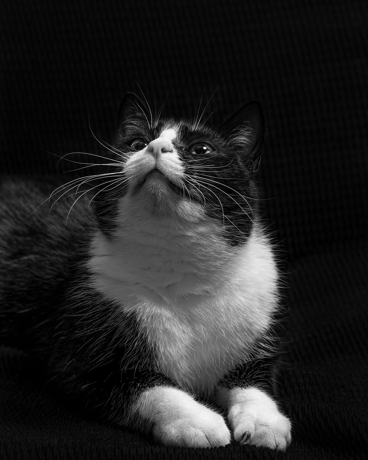 Fotoclub: Bild des Monats 7.2019