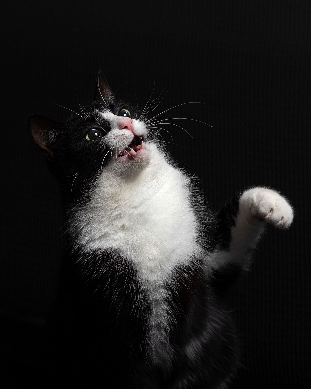 Serie: Hector 3 (Foto: Julia Didelot)