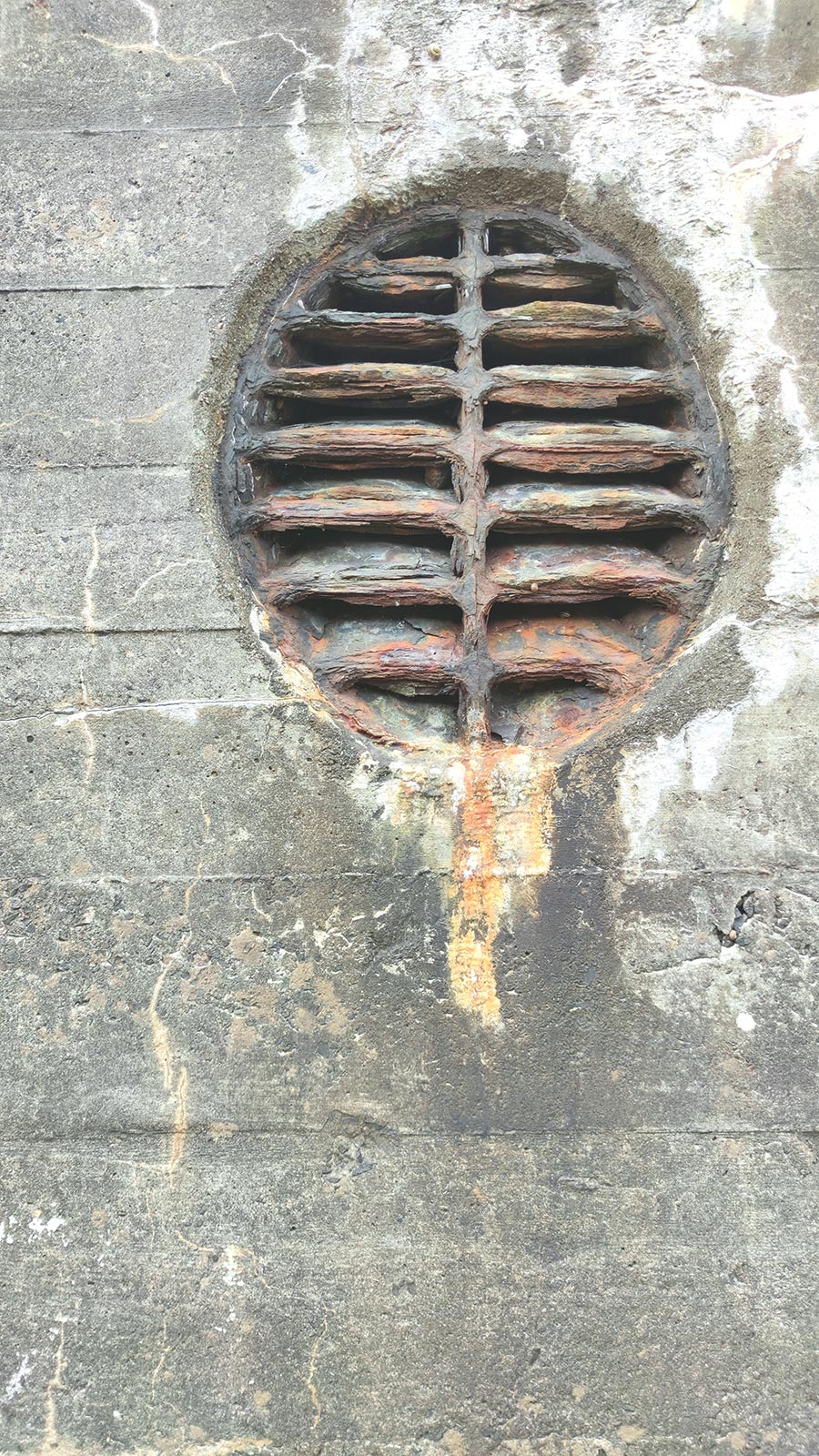 Serie: Rostzeit 2 (Foto: Peter Maximilian Schmidt)