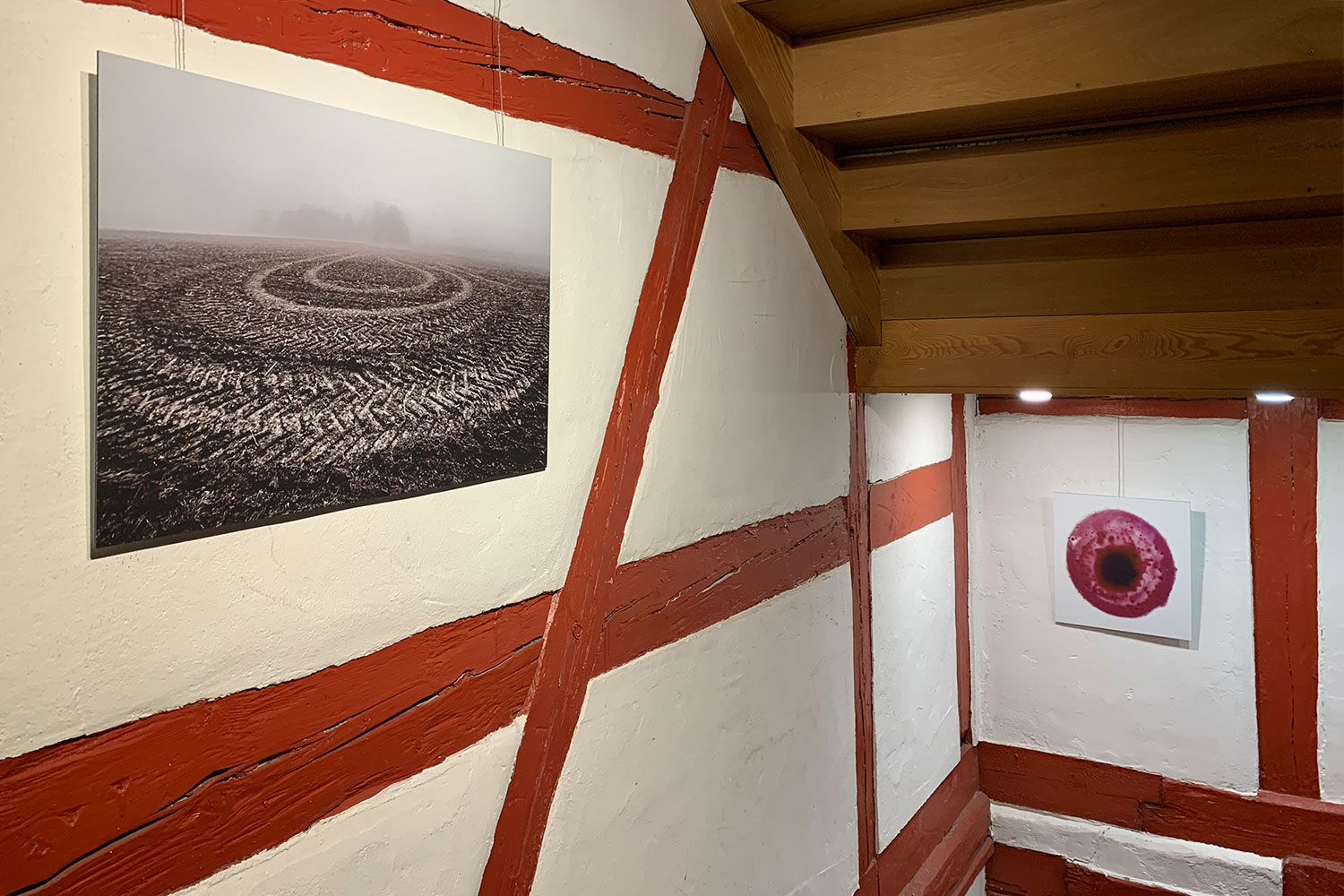 Fotoausstellung Günter Giese + Manuela Hahnebach: Galerie im Bürgerhaus Zella-Mehlis 2022: Strukturen MH (Foto: Andreas Kuhrt)