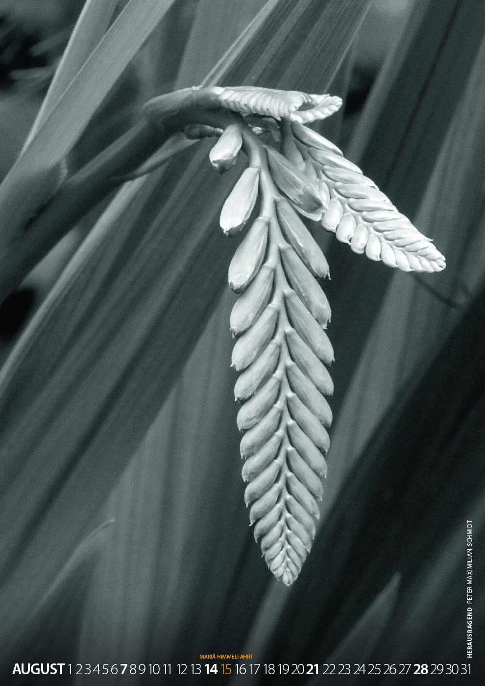 Fotoclub Kontrast Suhl Kalender 2022: 08: Herausragend (Foto: Peter Maximilian Schmidt)