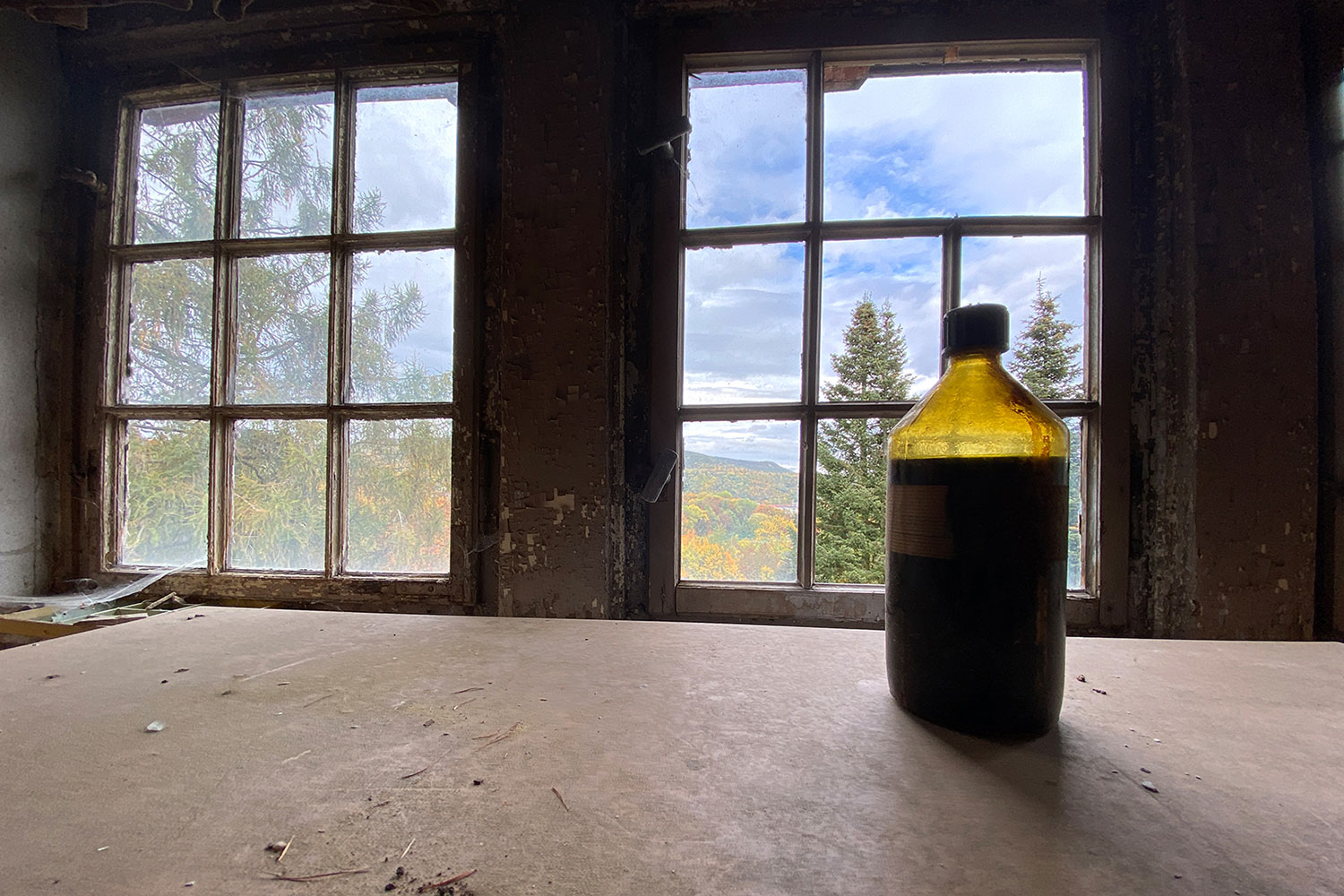 Fotoclub: Bild des Quartals 3.2025