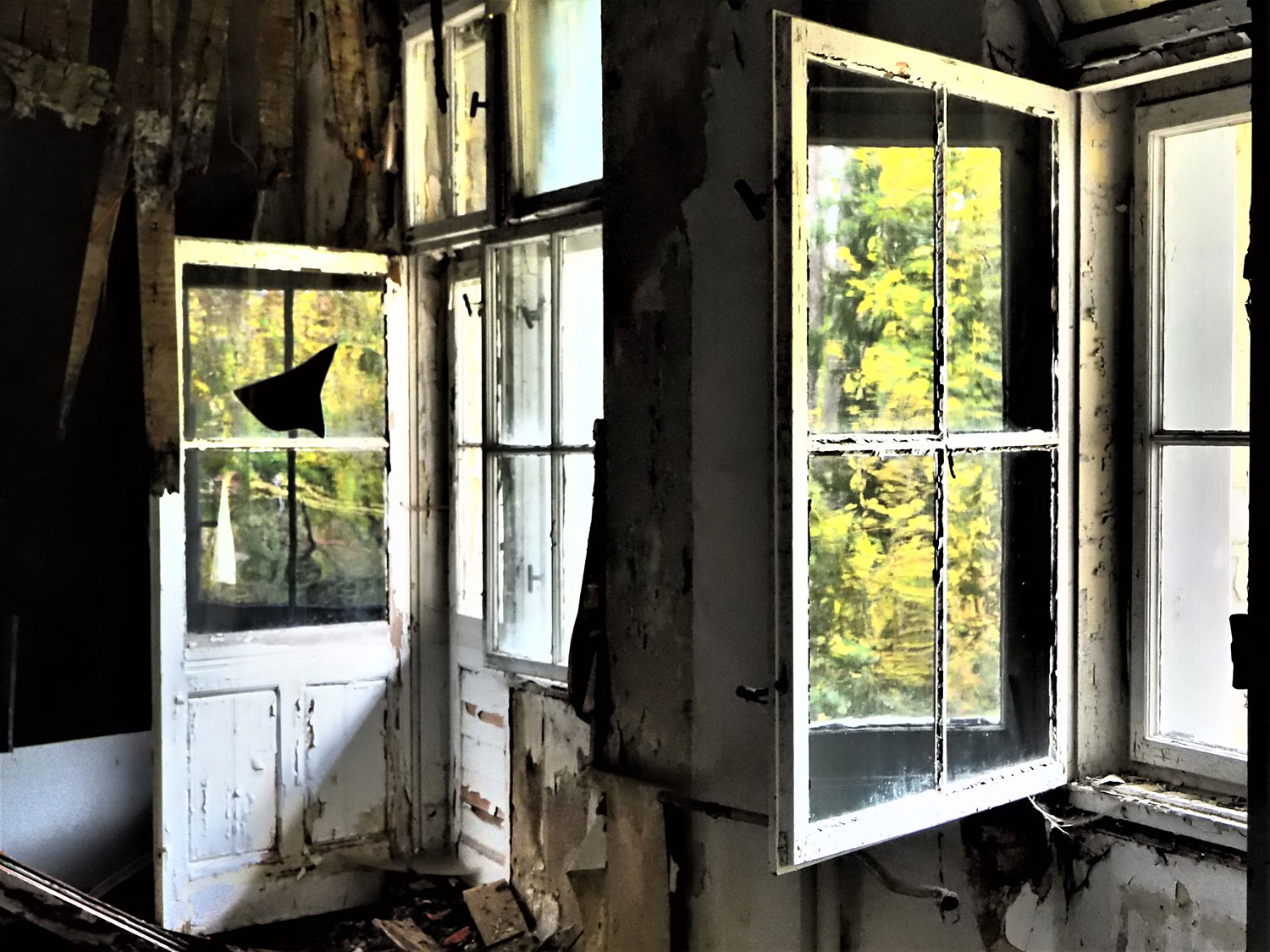 Gegensatz . Schwarzeck/Bad Blankenburg (Foto: Dietmar Schmidt)