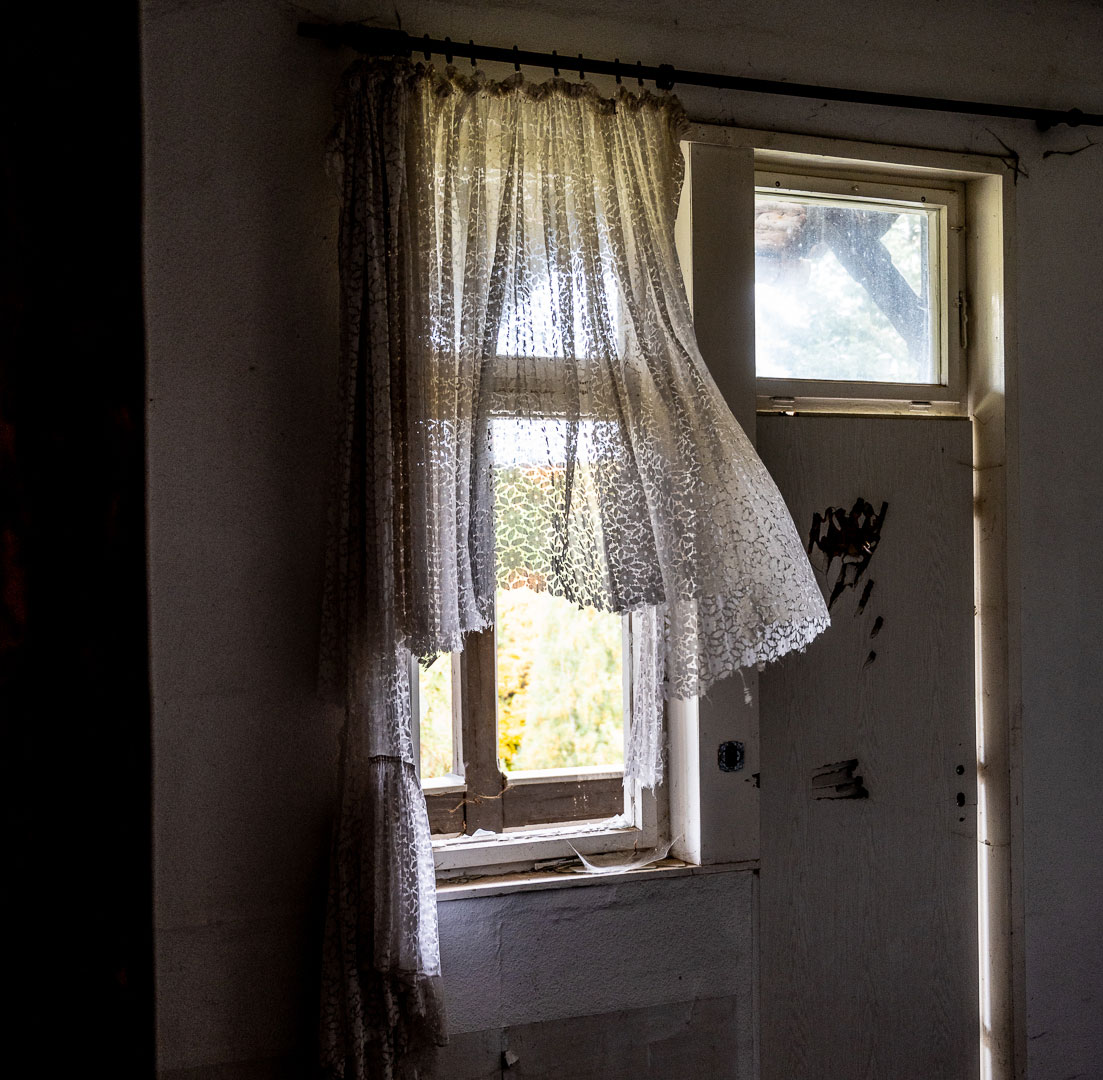 Hereingeweht . Schwarzeck/Bad Blankenburg (Foto: Uli Pfeufer)