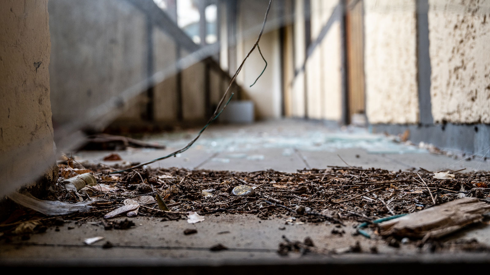 Schöfferhofer . Schwarzeck/Bad Blankenburg (Foto: Uli Pfeufer)