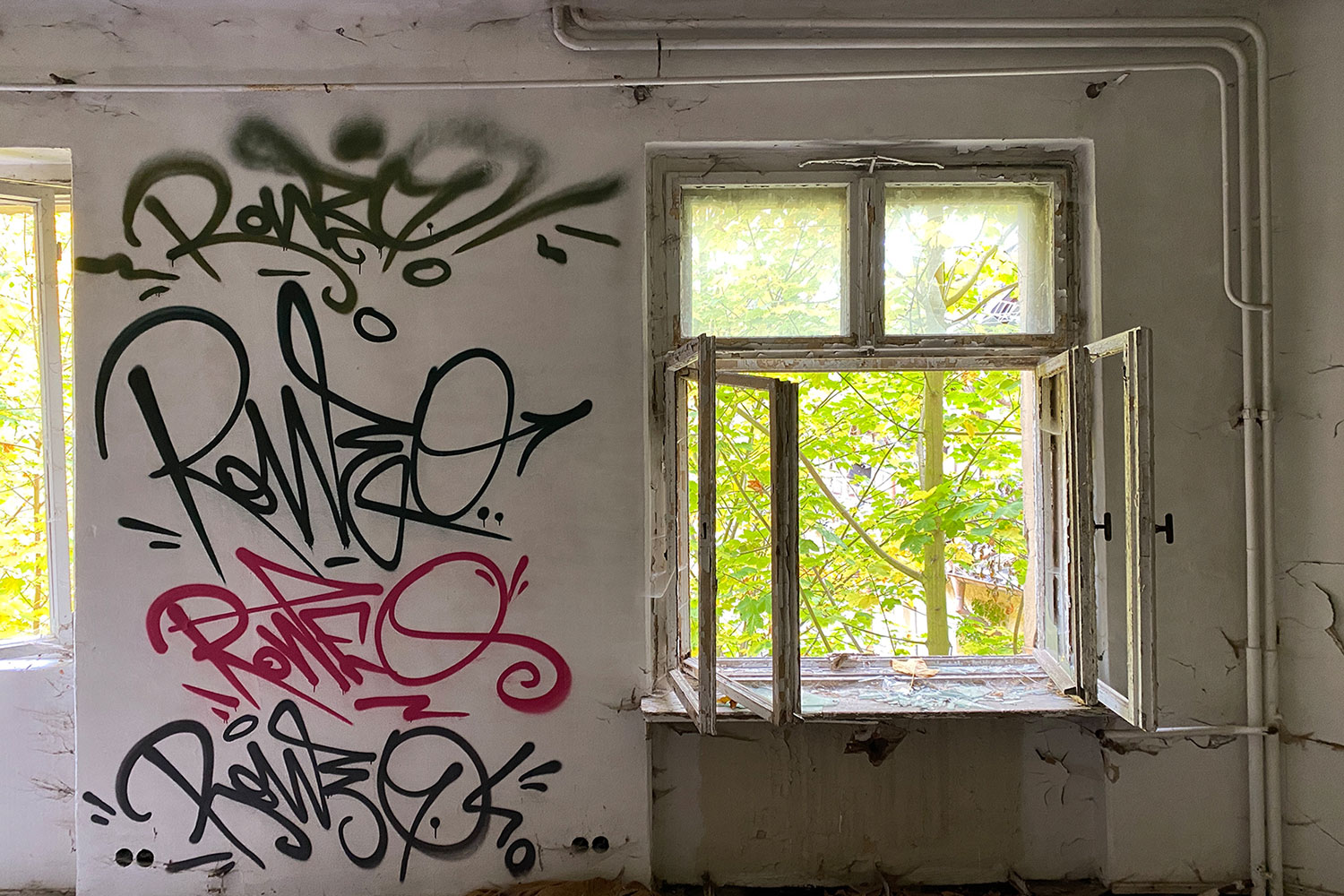 Wandkunst . Schwarzeck/Bad Blankenburg (Foto: Andreas Kuhrt)