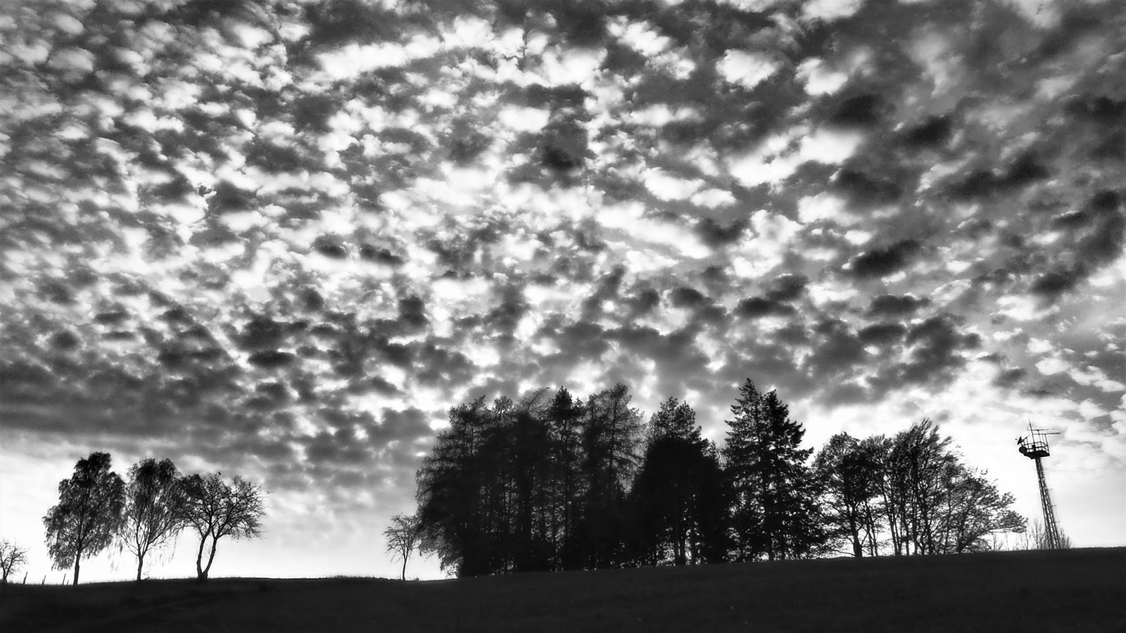 2023-01-02-abendlich-ds-5.33 Abendlich (Foto: Dietmar Schmidt)