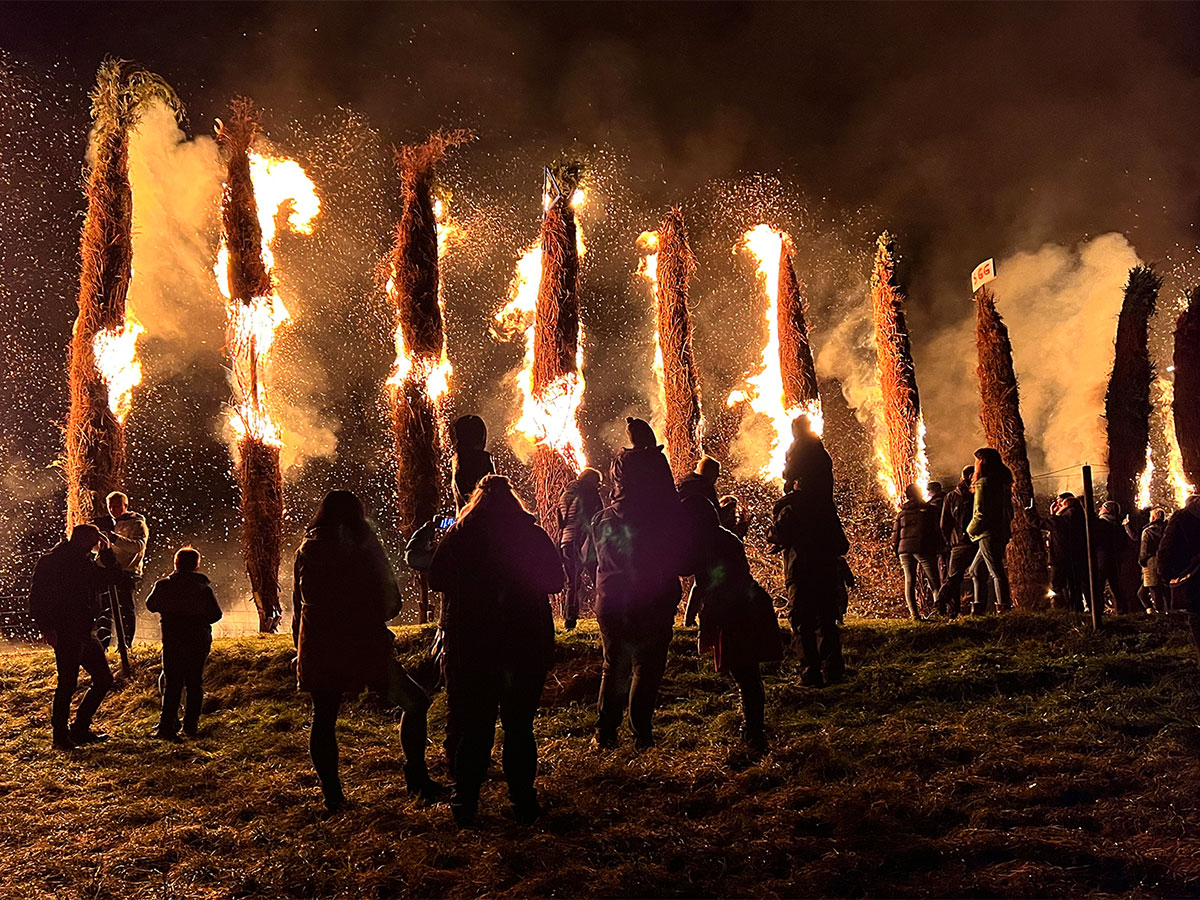 2023-01-17-fackelbrand-mh-6.5 Fackelbrand (Foto: Manuela Hahnebach)