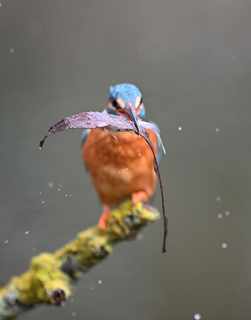 Fotoclubtour Oberlausitz