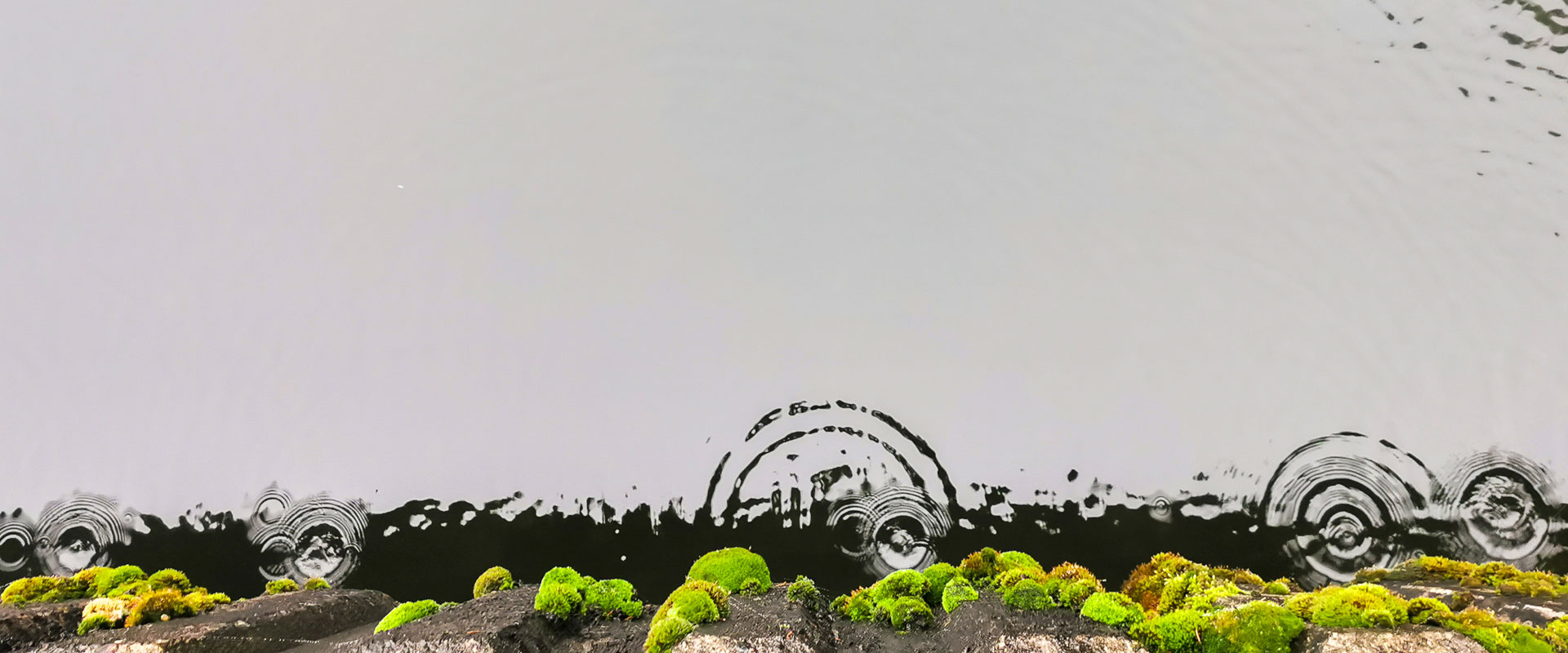 2023-01-21-getropft-upf-5.75 Getropft (Foto: Uli Pfeufer)