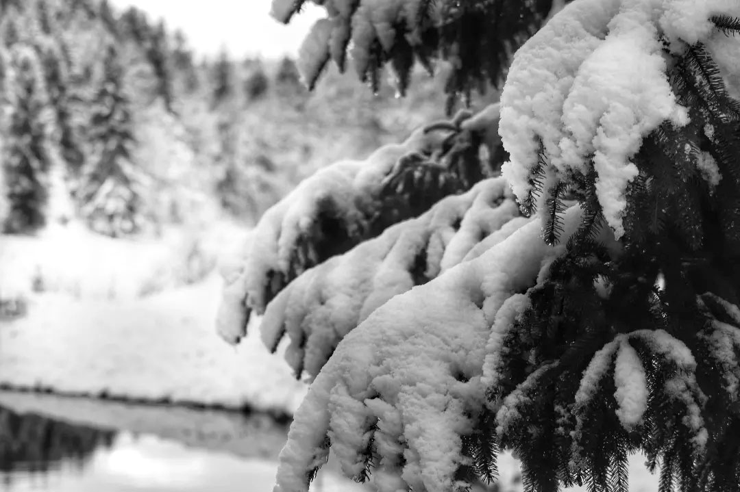 2023-01-25-IMG_20220204_203515_191-das-3 (Foto: David Schütt)