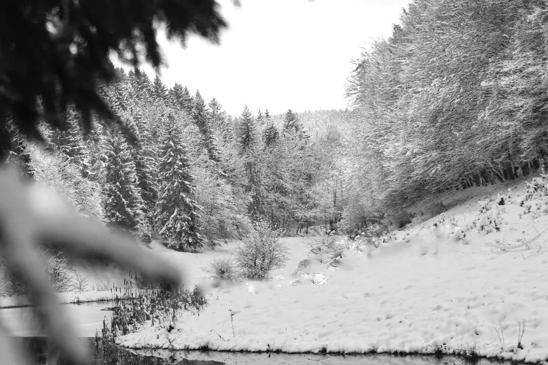 27. Mappenwettbewerb Thüringer Fotoclubs