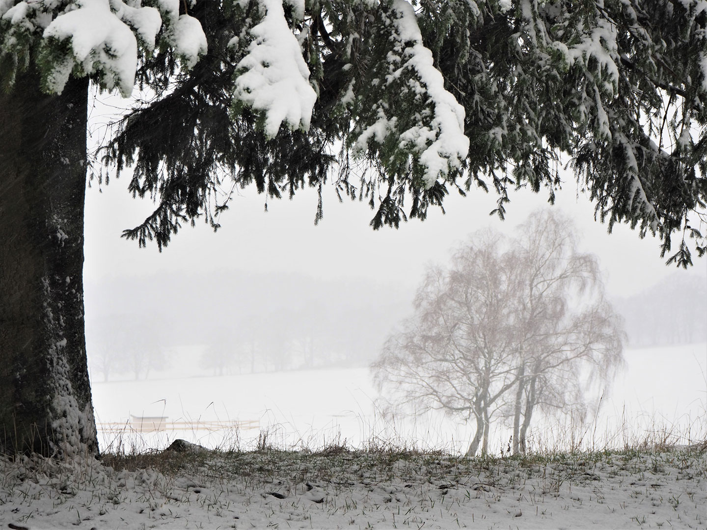 2023-01-55-winterboten-ds-5.67 Winterboten (Foto: Dietmar Schmidt)