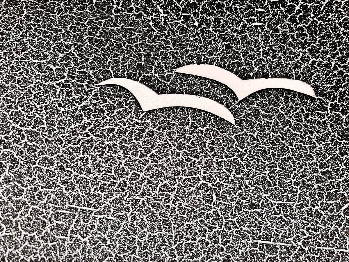 2023-01-56-zerrissener-himmel-mh-5 Zerrissener Himmel (Foto: Manuela Hahnebach)