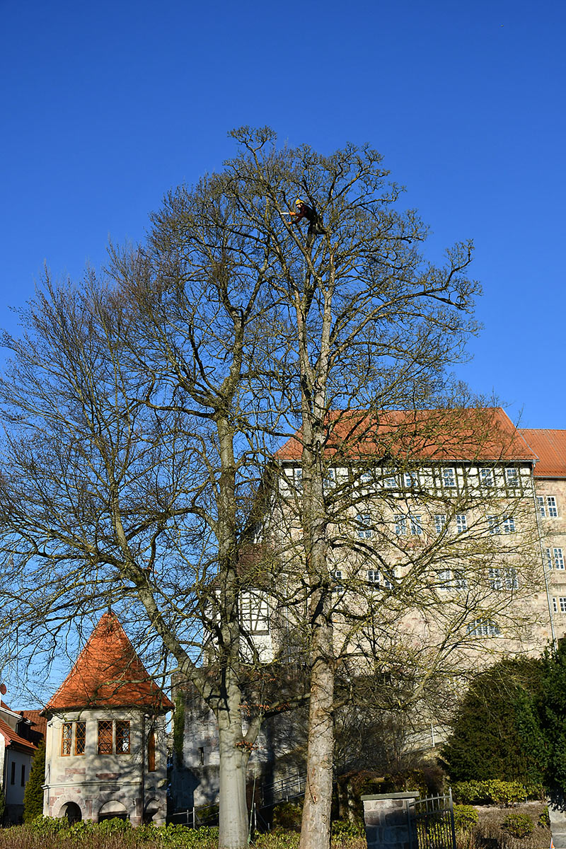 Fotoclub Themar: Fotoausstellung "Menschen Tiere Landschaften" in Hildburghausen