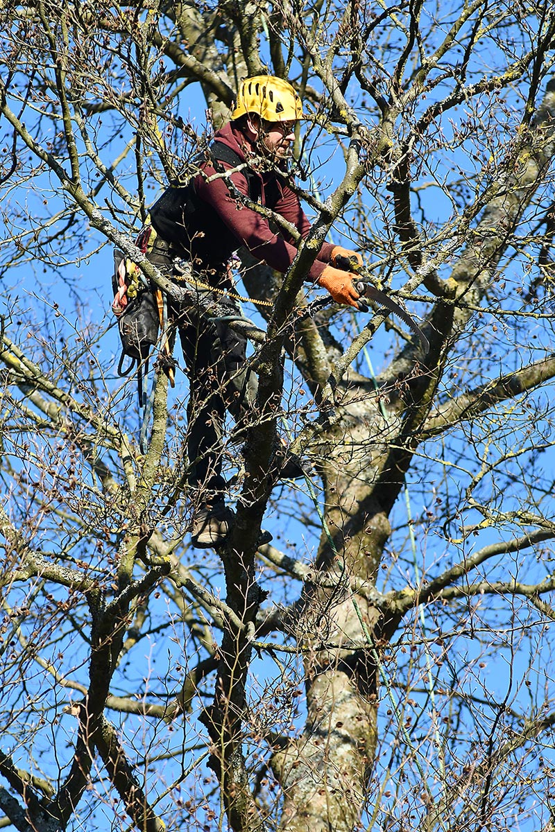 Kein Fotoclub