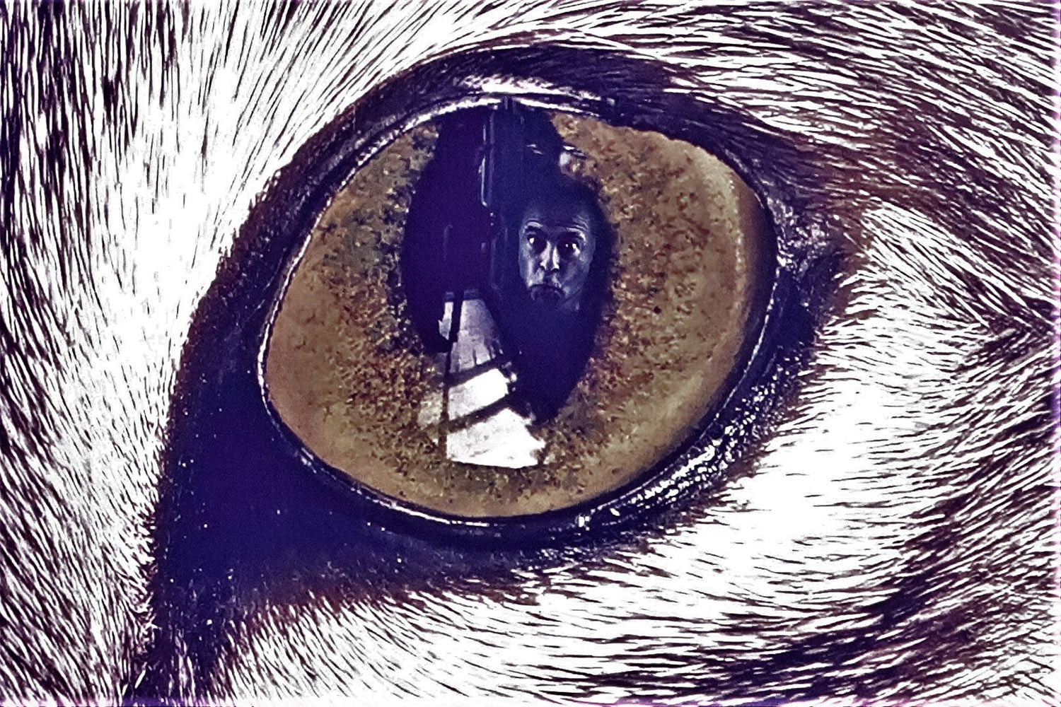 Fotoclub