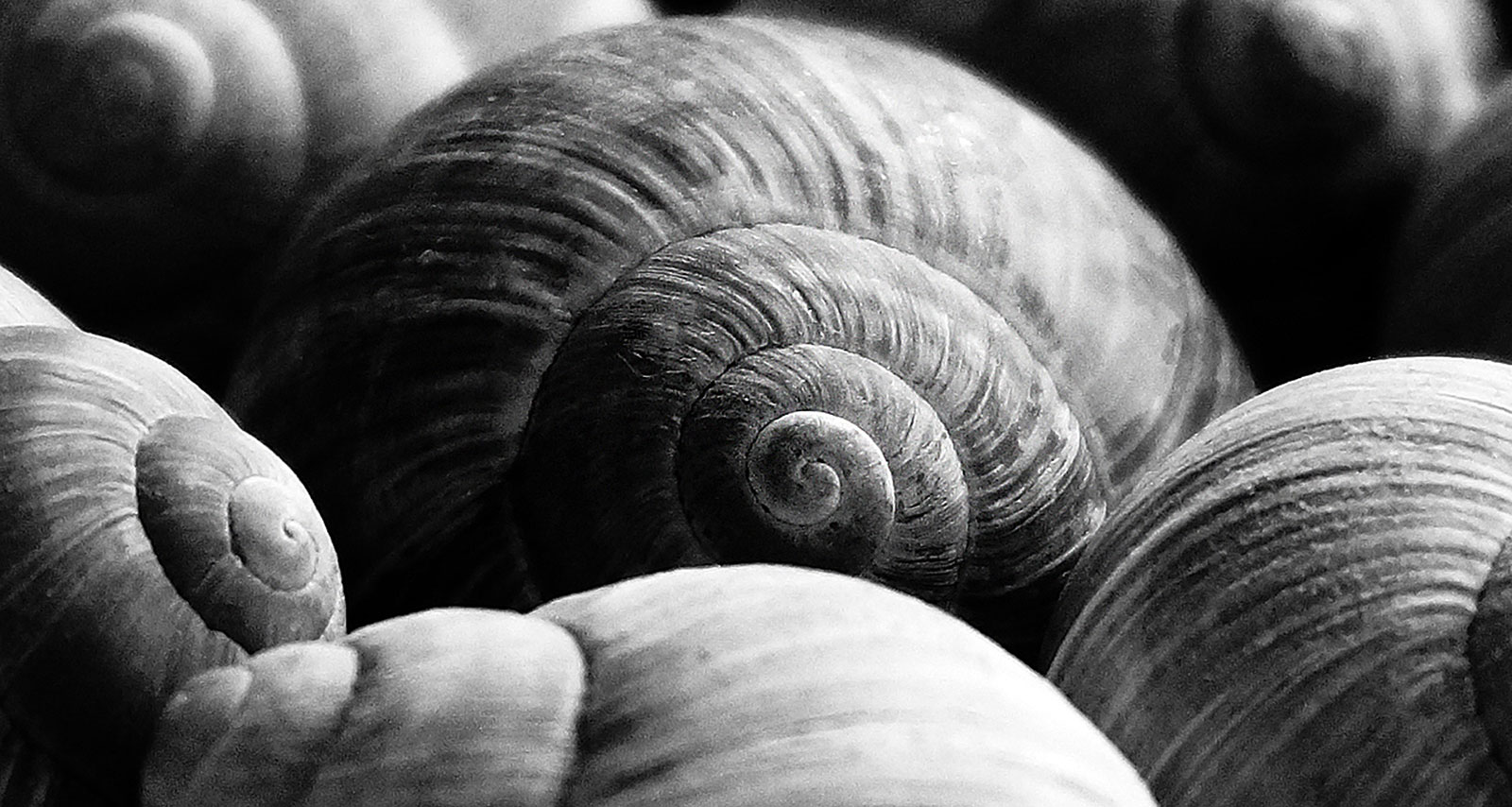 Fotoclub: Bild des Monats 4.2019?