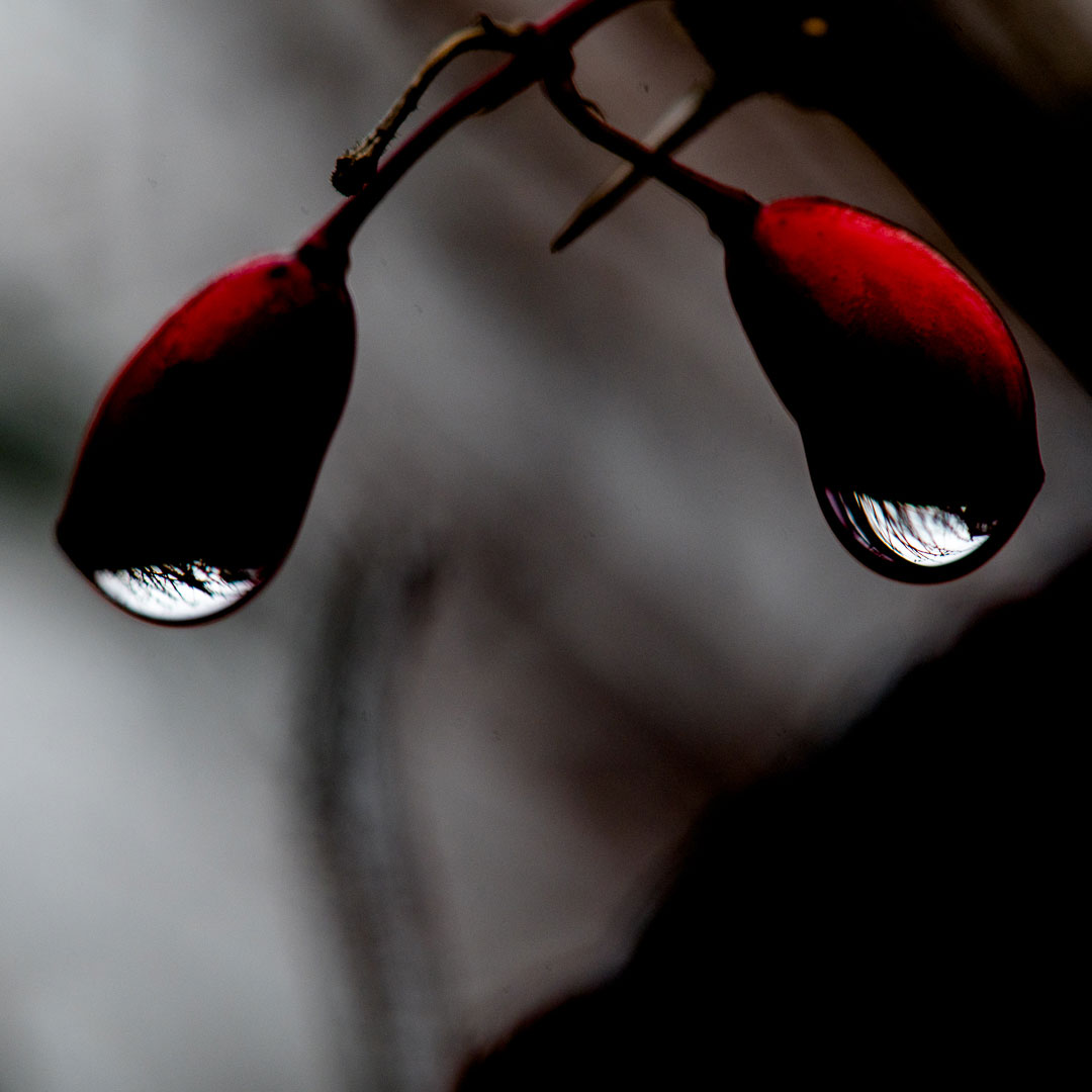 Sommer-Fotoclub bei PMS