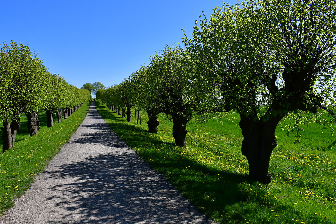 Fotoclub: Bild des Monats 12.2021