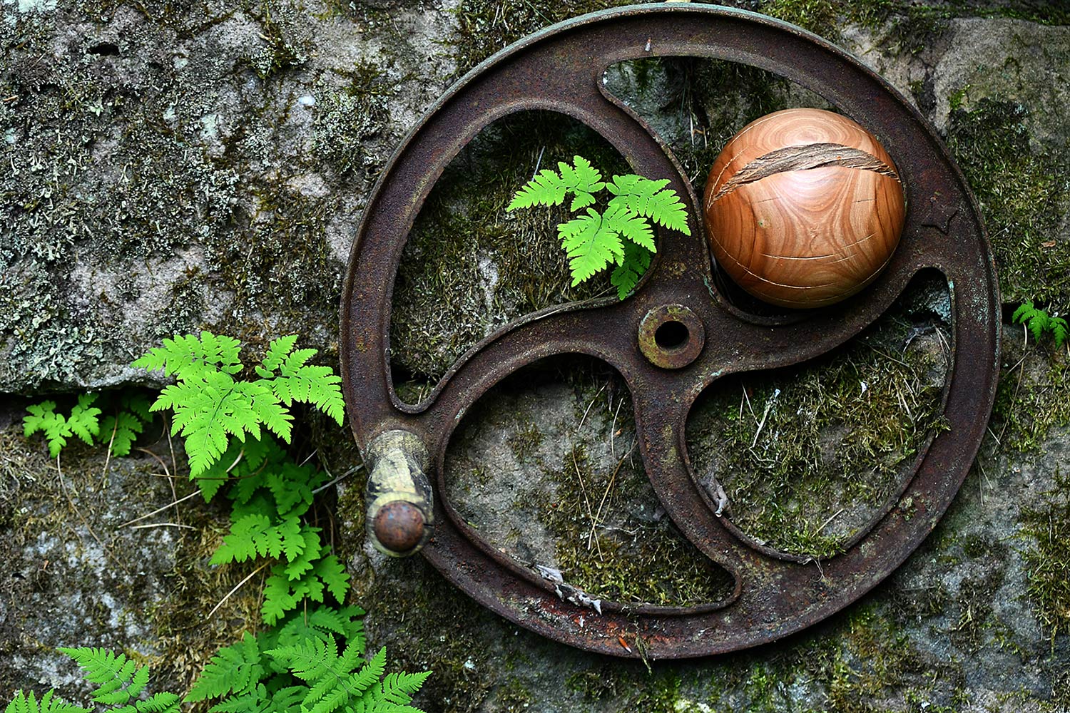 2023-06-kugel-08-DSC_5994-gg-6.33-2 (Foto: Günter Giese)