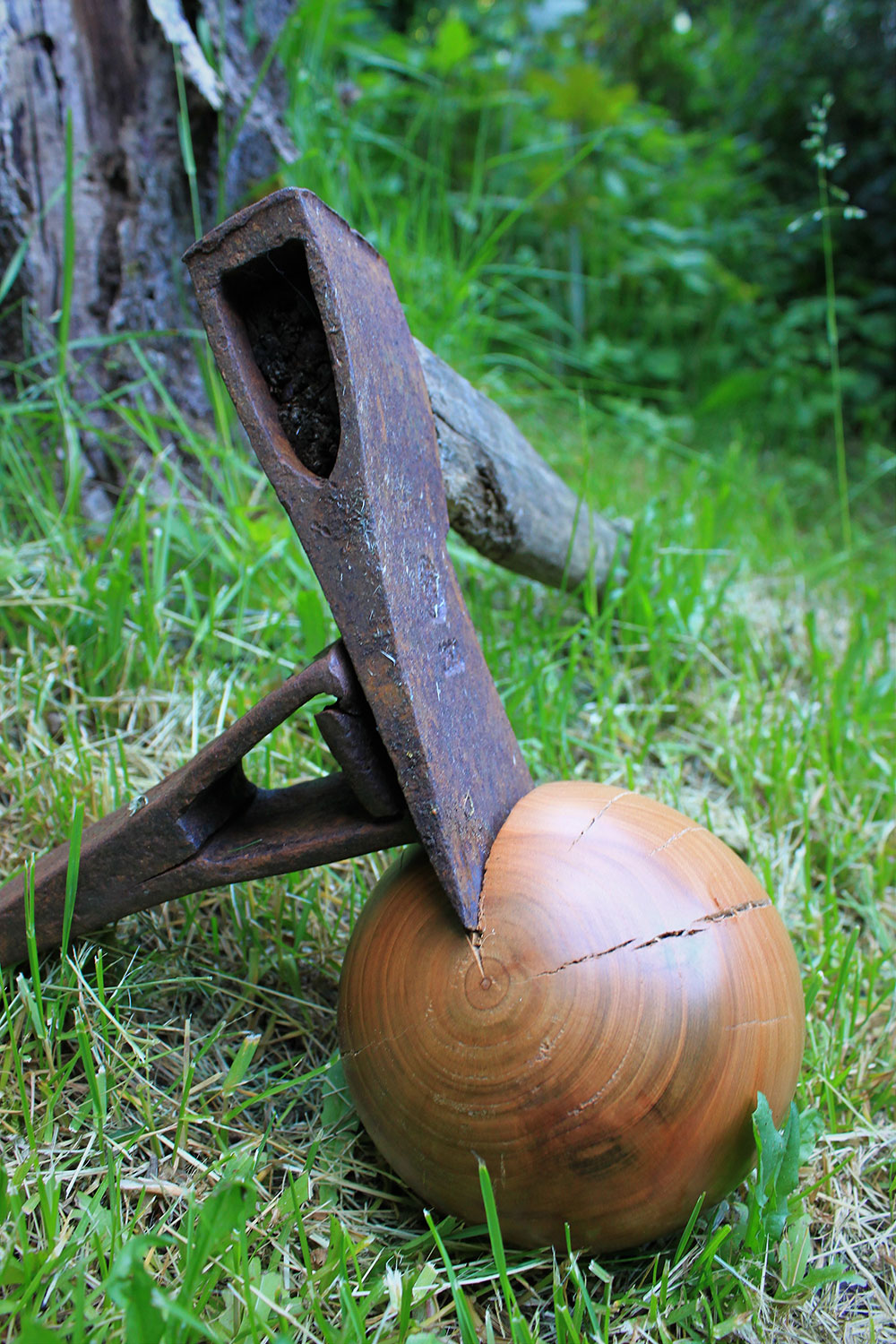 2023-06-kugel-10-gespalten-ms-6 Gespalten (Foto: Michael Stürtz)