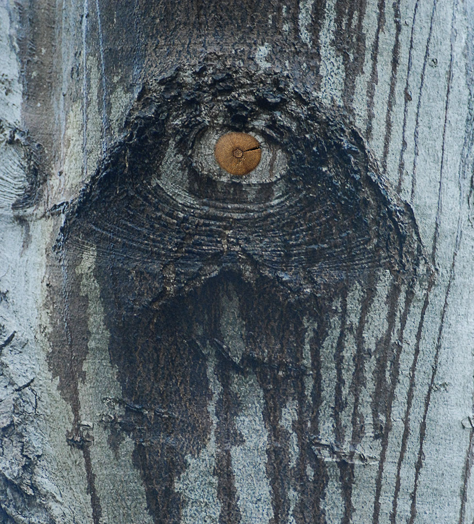 Fotoclub