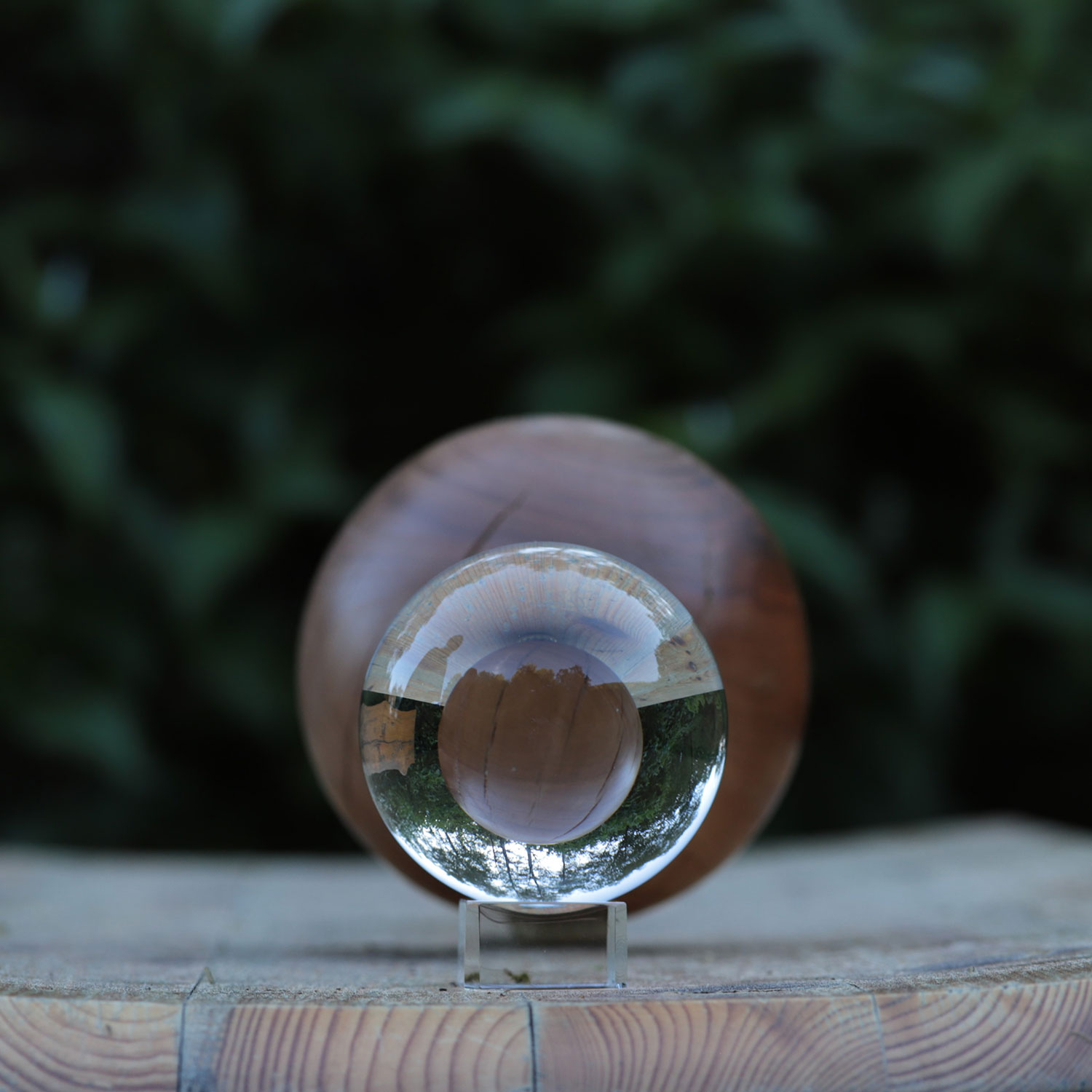 Fotoclub: Bild des Monats 06.2022