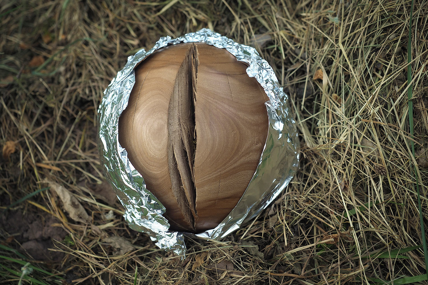 2023-06-kugel-zz02-foliert-2-P6012075-mh-6-1 Serie: Foliert 2 (Foto: Manuela Hahnebach)