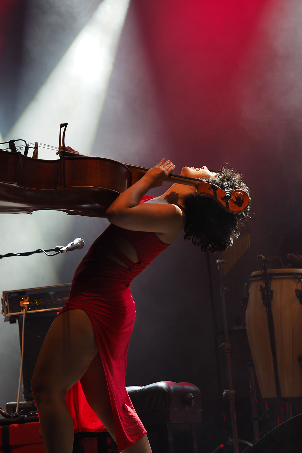 2023-09-06-cello-artistin-mh-6 Cello-Artistin (Foto: Manuela Hahnebach)