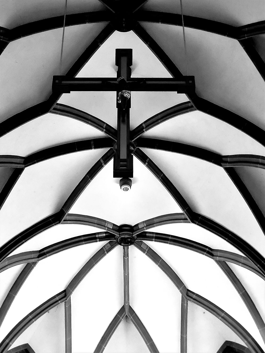 2023-09-08-Decke-ds-5.33 Decke (Foto: Dietmar Schmidt)