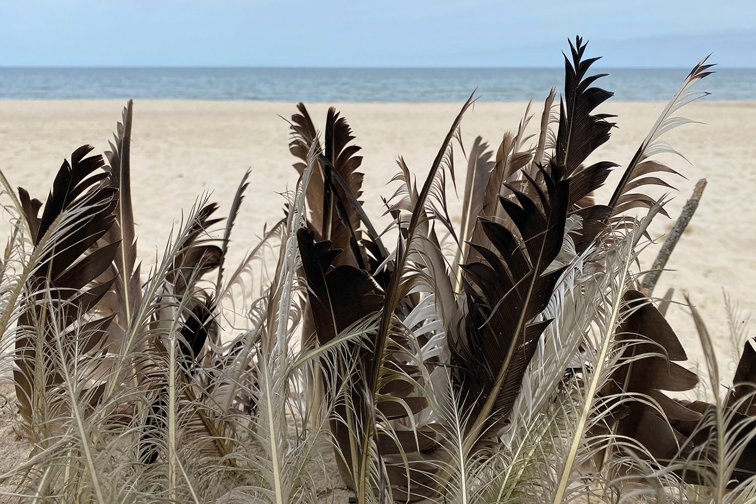 Fotoclub: Kalender 2019