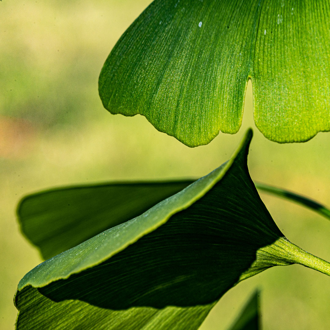 2023-09-25-passend-upf-6.67 Passend (Foto: Uli Pfeufer)