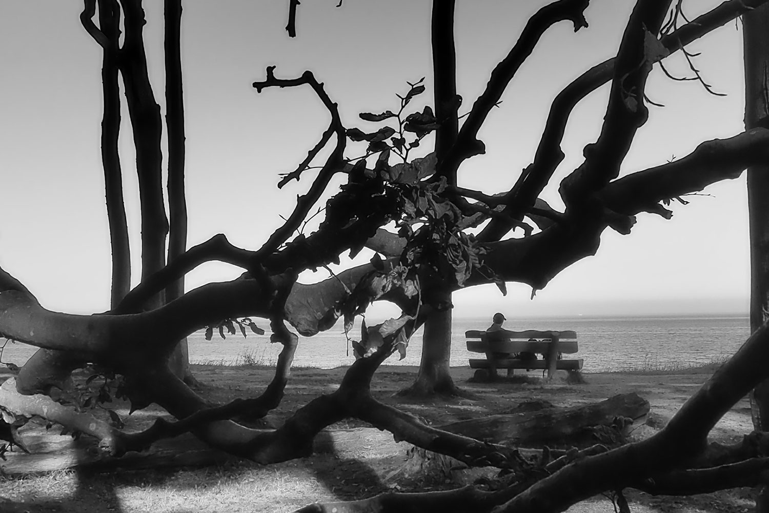 Fotoclub