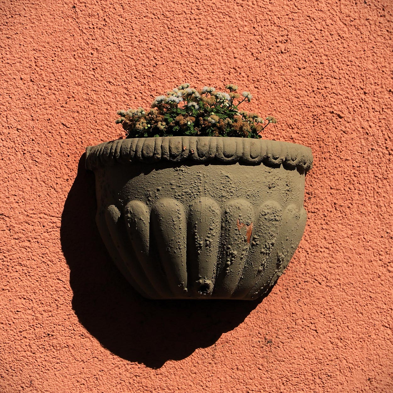 Sommer-Fotoclub bei PMS