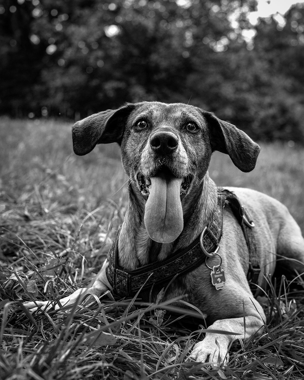 2023-10-34-Zelda-jd-7-3 Zelda (Foto: Julia Didelot)