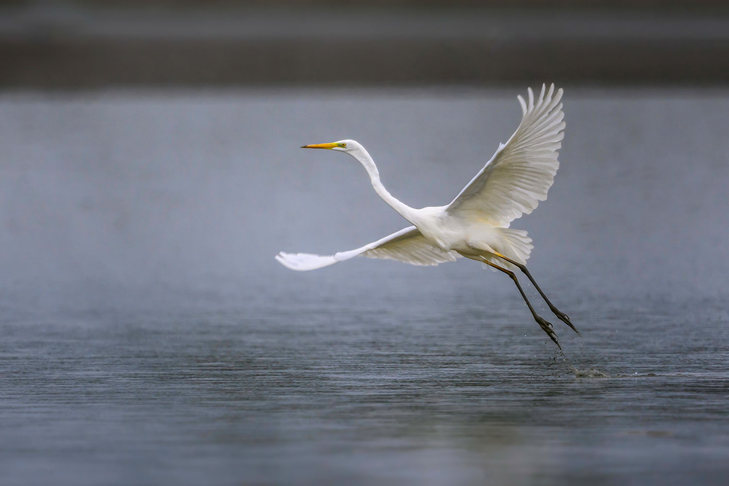 Abflug (Foto: Michael Ritter)