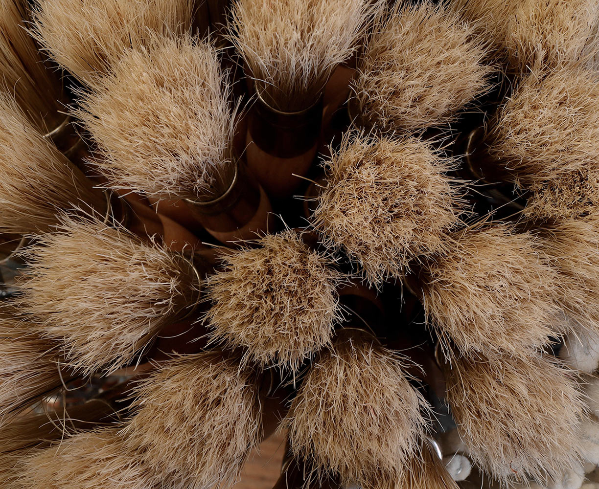 Borstig (Foto: Claus Gebhardt)