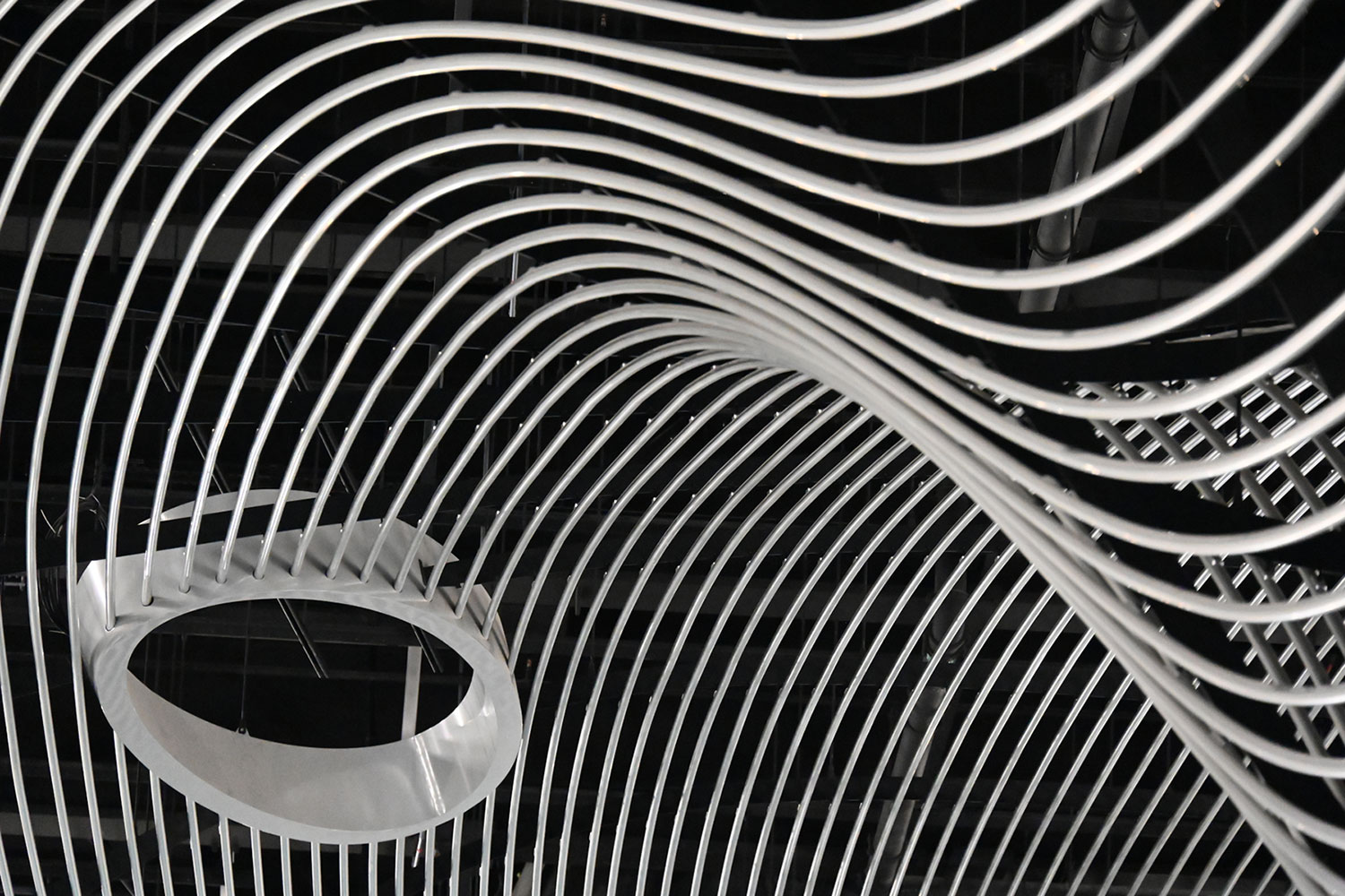 Parametrische Architektur (Foto: )