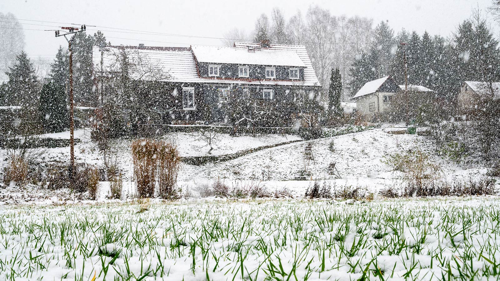 Frühwinter (Foto: Uli Pfeufer)