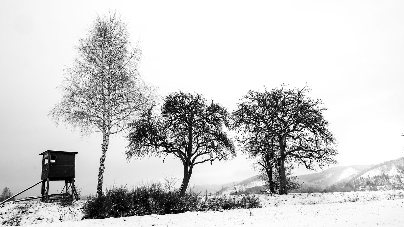 Fotoclub
