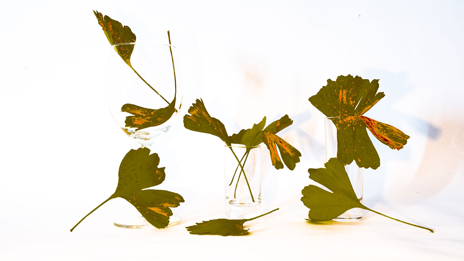 Komposition (Foto: Uli Pfeufer)