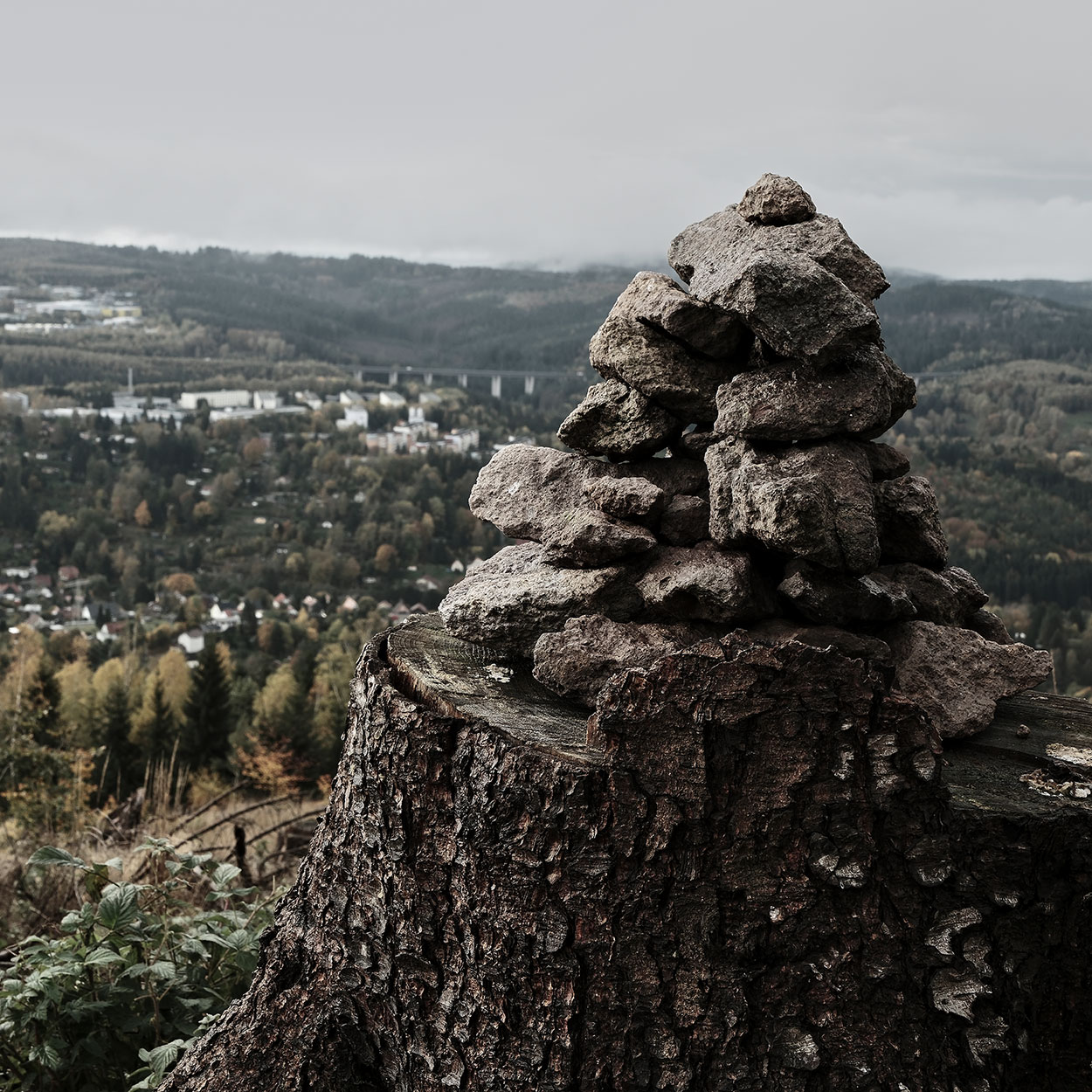 Fotoclub: Bild des Monats 3.2018
